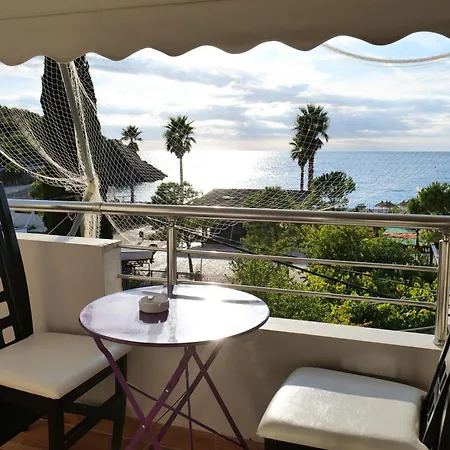 Hotel Jali
